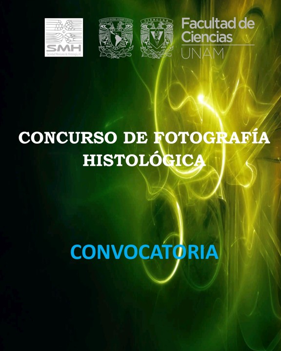 Concurso de fotograf&iacute;a