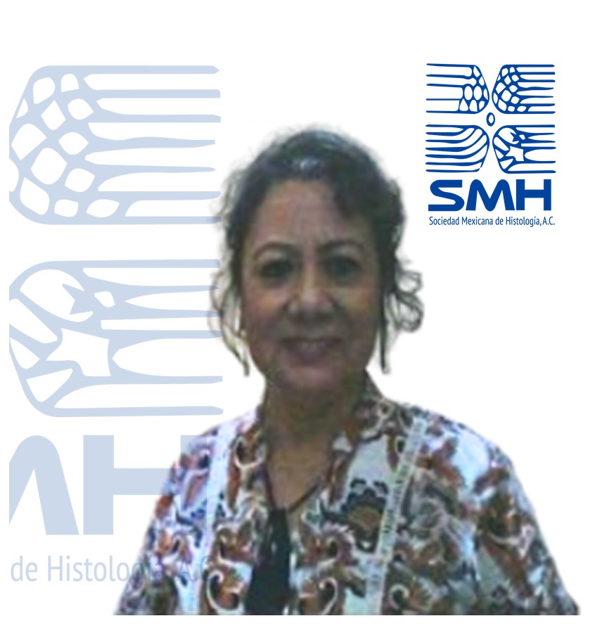 Profesora Investigadora