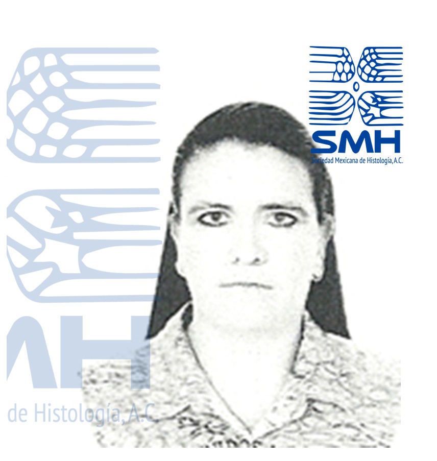 Evaluaci&oacute;n Departamental