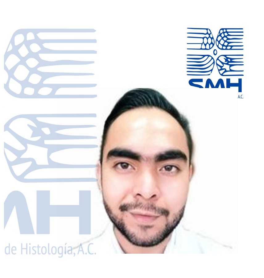 M&eacute;dico Odontologo
